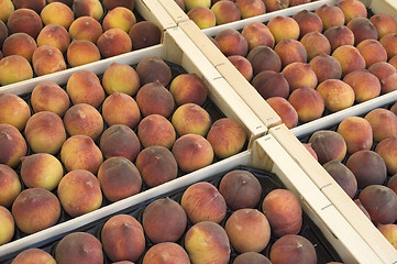 Image showing Peaches