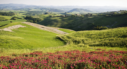 Image showing Tuscany