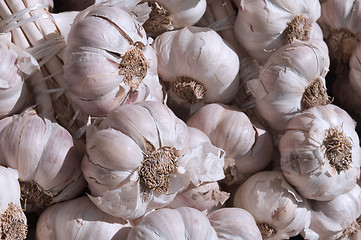 Image showing Fresh garlic