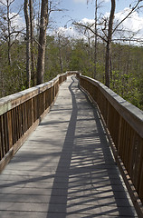 Image showing Raised wooden boardwalk