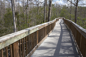 Image showing Raised wooden boardwalk