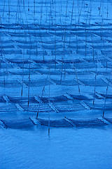 Image showing Seaweed farm