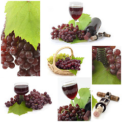 Image showing Red wine collage