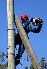 Image showing Electrician on a pole makes installation work