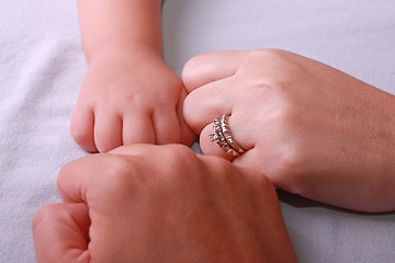 Image showing Family Hands