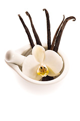 Image showing Vanilla pods and flower