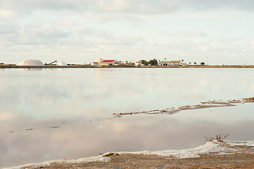 Image showing Salt marsh