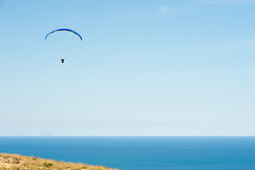 Image showing Paragliding