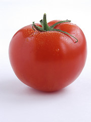 Image showing Tomato portrait I