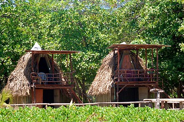 Image showing houses in the rainforest