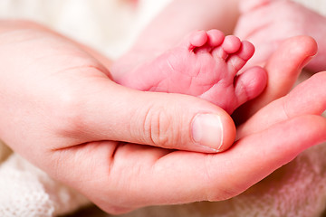 Image showing Newborn Baby Foot