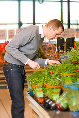 Image showing Fresh Herbs Grocery Store