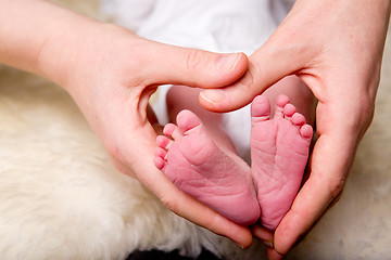 Image showing Heart Around Newborn Feet