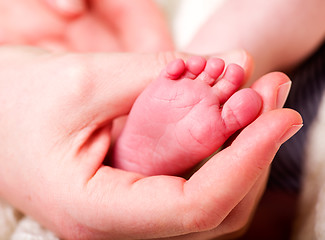 Image showing Hand Holding Baby Feet