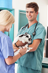 Image showing A rabbit at the vet having a check-up