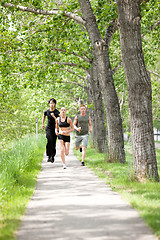 Image showing Friends jogging during morning time