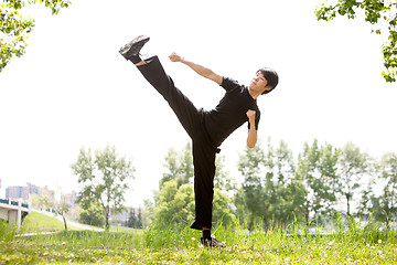 Image showing Martial artist with his high kick