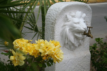 Image showing Lion with water-tap