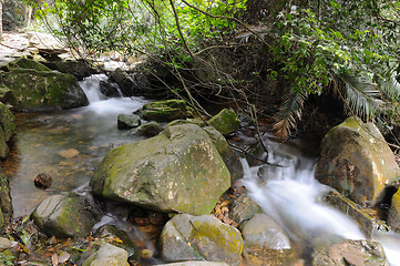 Image showing Mountain stream