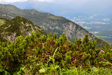 Image showing Alps in Summer