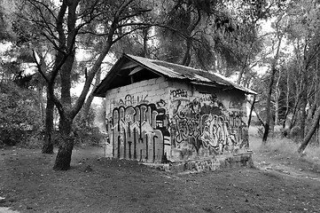 Image showing graffiti covered hut