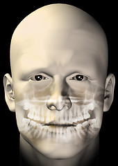 Image showing male figure dental scan