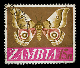 Image showing Zambia butterfly stamp