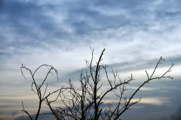 Image showing sunset cloudscape