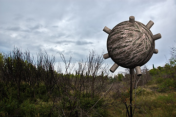 Image showing forest sphere