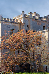 Image showing abandoned mansion