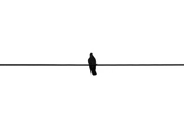 Image showing bird on a wire
