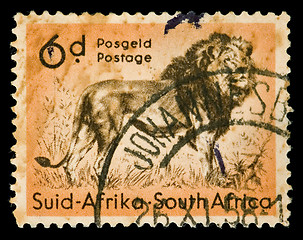 Image showing african lion stamp