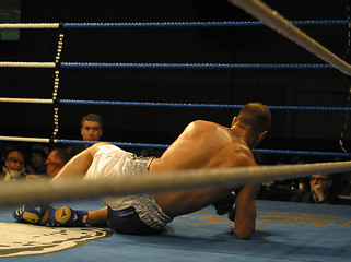 Image showing boxer down