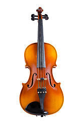 Image showing Violin