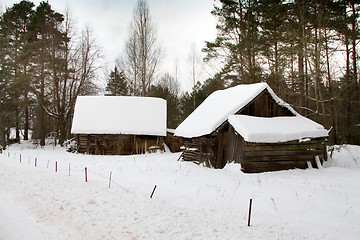 Image showing winter season