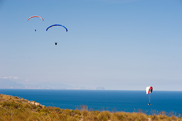 Image showing Paragliding