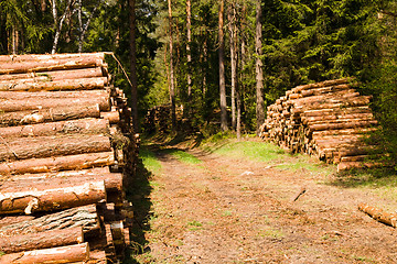 Image showing The cut down trees combined together