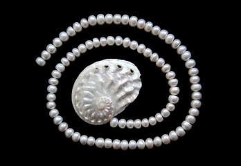 Image showing White pearls and nacreous cockleshell on the black velvet 