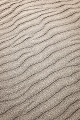 Image showing Sand ripples background