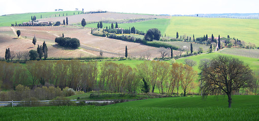 Image showing Italy. Tuscany landscape. 