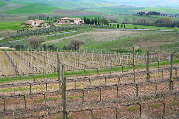 Image showing Italy. Tuscany region, Val D'Orcia valley.