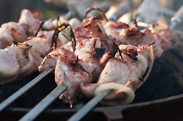 Image showing Shish kebab