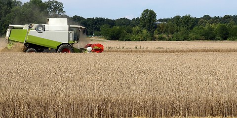 Image showing Harvest