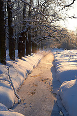 Image showing freeze creek in the park