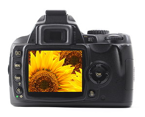 Image showing holiday flower on camera