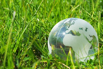 Image showing glass globe or earth in grass