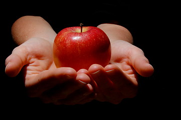 Image showing hand with apple