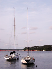 Image showing Yachts