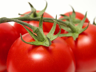 Image showing Tomatoes temptation