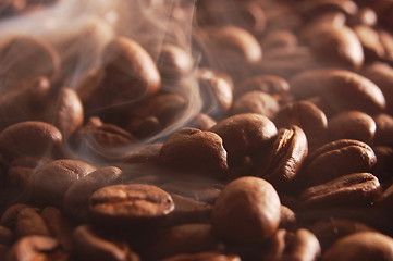 Image showing coffee beans